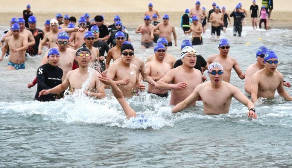 지난해 열린 '겨울바다 돌고래 수영대회' 모습. 출처=대구일보 홈페이지